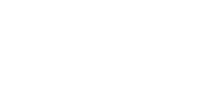 Allo Logo in white.