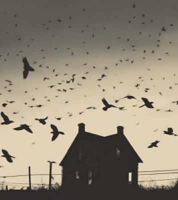Show of house with many birds flying in the sky above the house