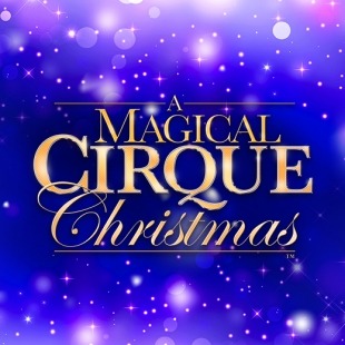 a promotional graphic for a holiday themed acrobatic variety show