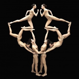 six nude humans position their bodies to form one visual piece