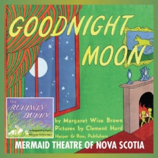 bedroom window with a curtain and night sky outside the window. Text Goodnight Moon written in yellow text  