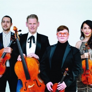 a quartet of string musicians pose together in fancy attire
