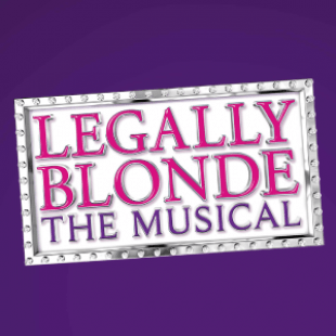 Graphic of frame with sparkling lights. Title in frame says "Legally Blonde The Musical" in pink and purple letters with silver outline. Background of letters is white and background behind the frame is purple.