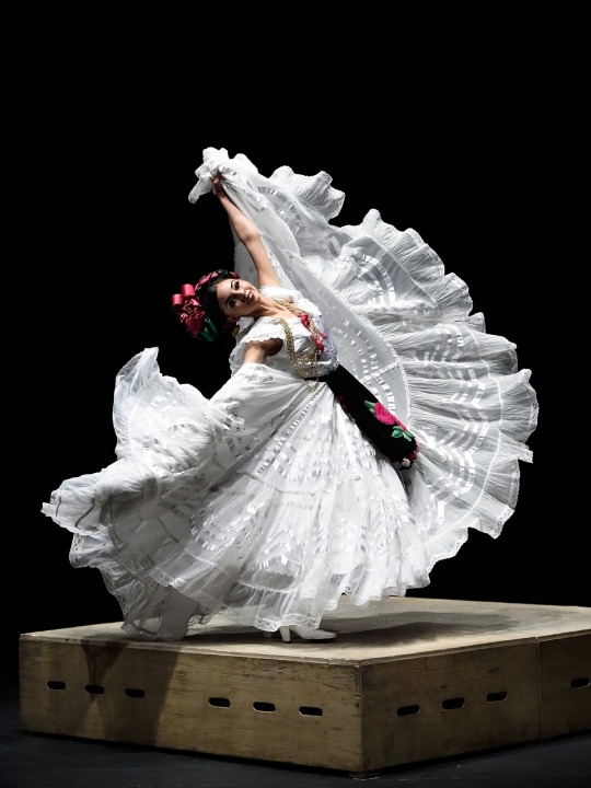 Hire Ballet Folklorico Mi Herencia Mexican Folk Dance Ballet