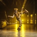 Man in lion costume doing a high kick in a room with a yellow light behind him.