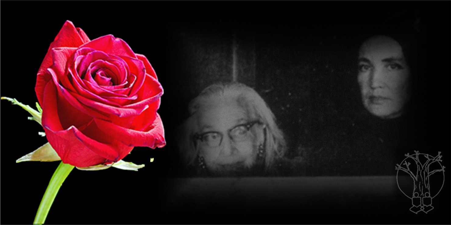 A red rose on a black background with a woman's face showing in the background very faintly.