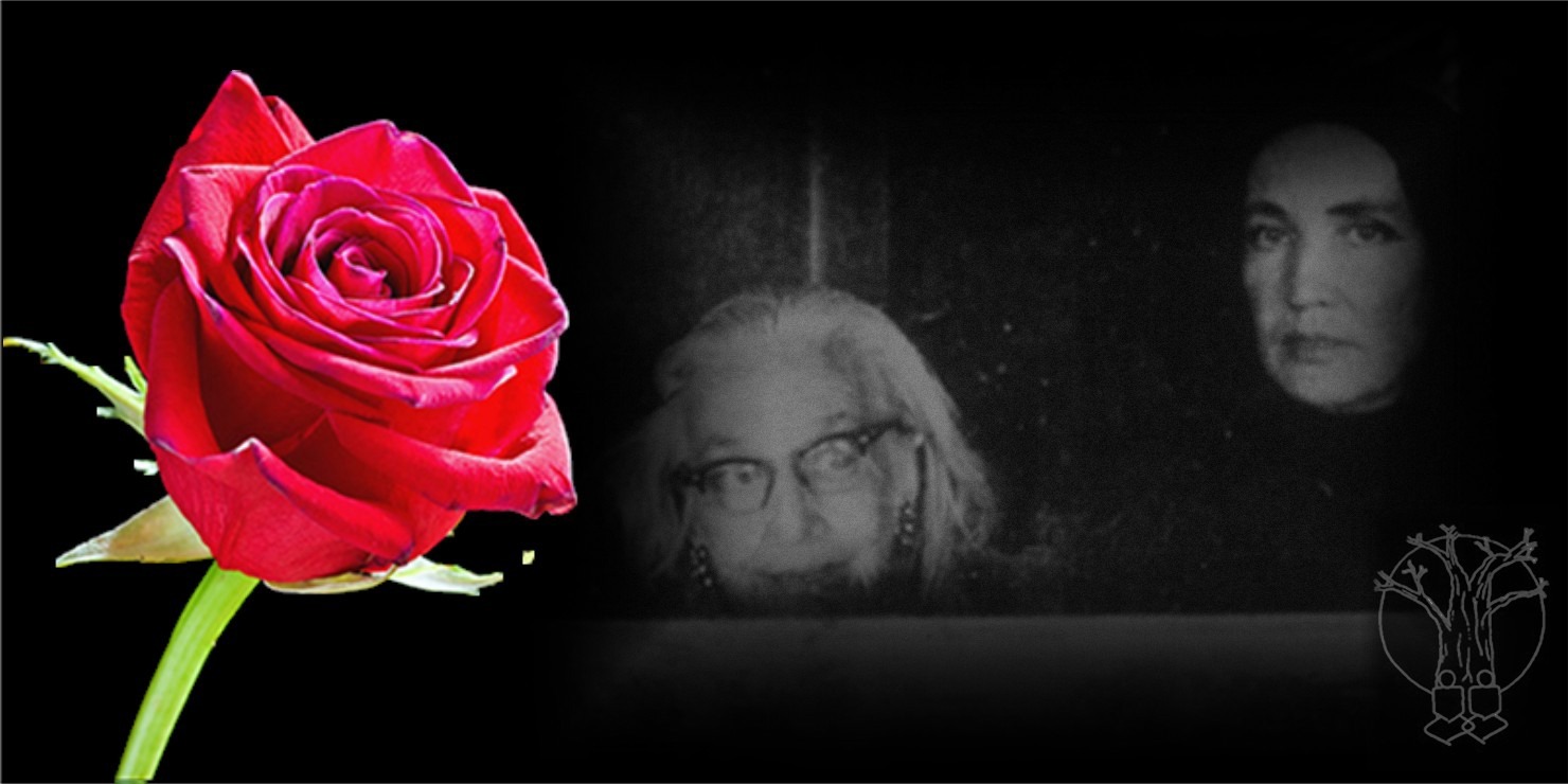 A red rose on a black background with a woman's face showing in the background very faintly.