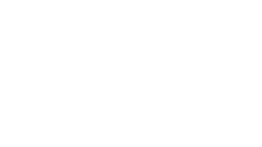 Confucius Institute Logo